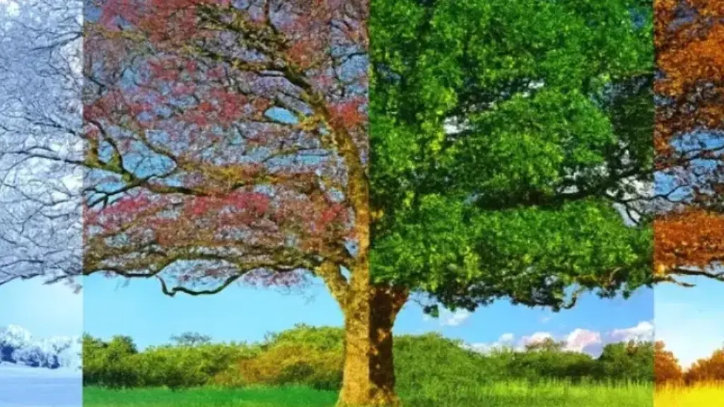 Si stina e lindjes ndikon në karakterin tuaj: Zbulime të reja nga shkenca