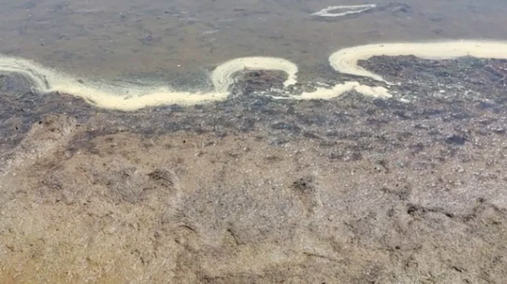 Ndotja në Liqenin e Prespës është alarmante