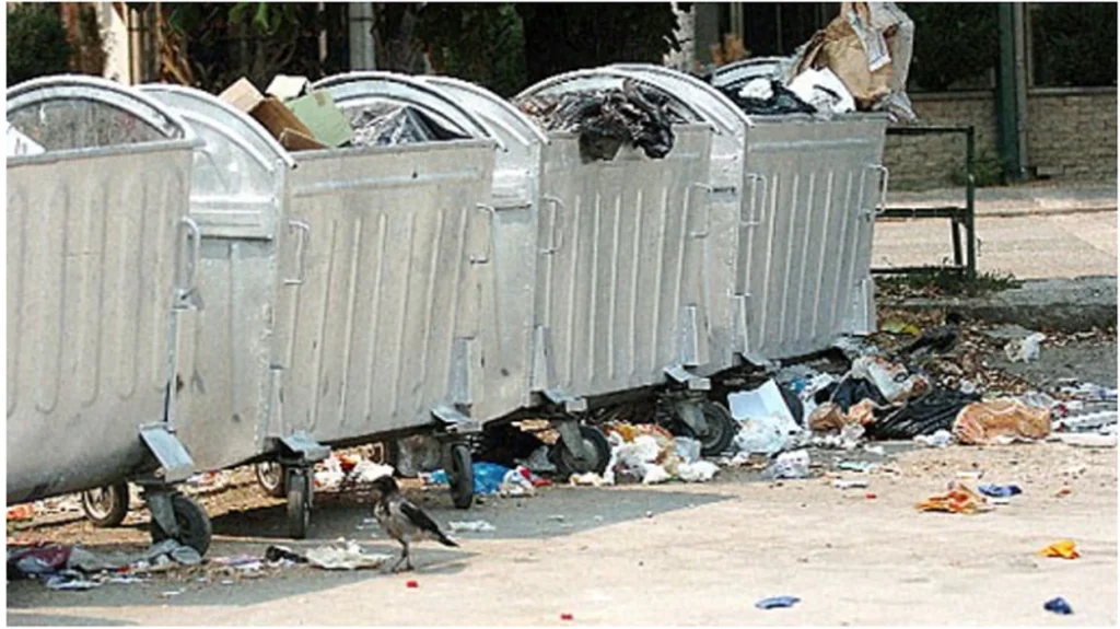 Shkupi assesi të pastrohet nga mbeturinat, Epidemiologët: Rrezik në përhapjen e brejtësve