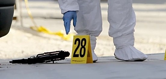 Vrau me armë zjarri dy vëllezër, autori është dhëndri i familjes! Dinamika e ngjarjes