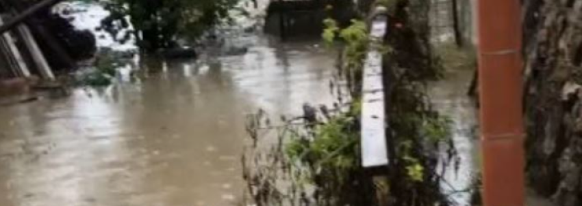 Vërshimet prekin Pozhoranin dhe Babushin, uji depërton në shtëpi e ferma