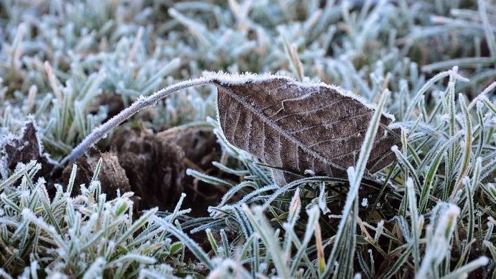 Temperatura nën zero në shumicën e qyteteve