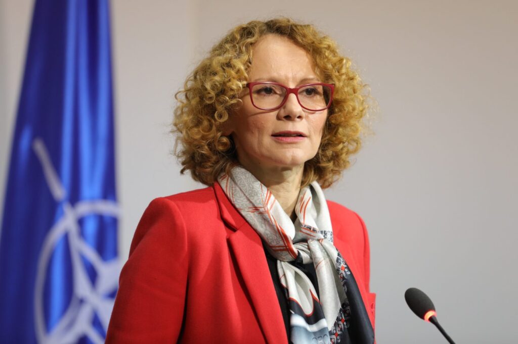 Sheqerinska: Rusia po realizon operacione hibride per destabilizimin e rajonit