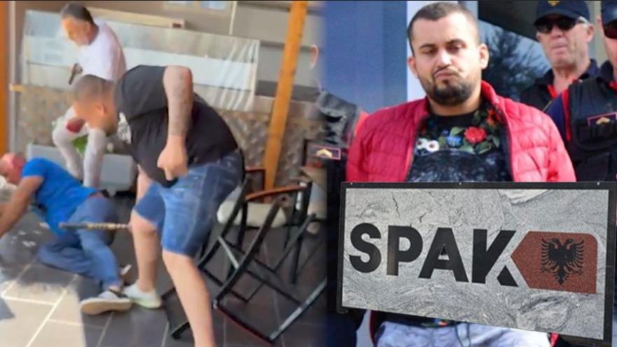 Goditja e grupit kriminal “Rraja”, SPAK zbardh skemën! Si bëhej transporti i drogës, 1722 kg bimë narkotike u sekuestruan në Mal të Zi, destinacioni Gjermania