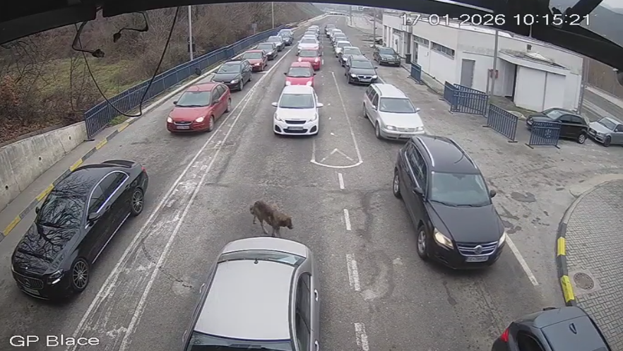 Nuk ka vonesa të gjata për hyrje dhe dalje nga vendi