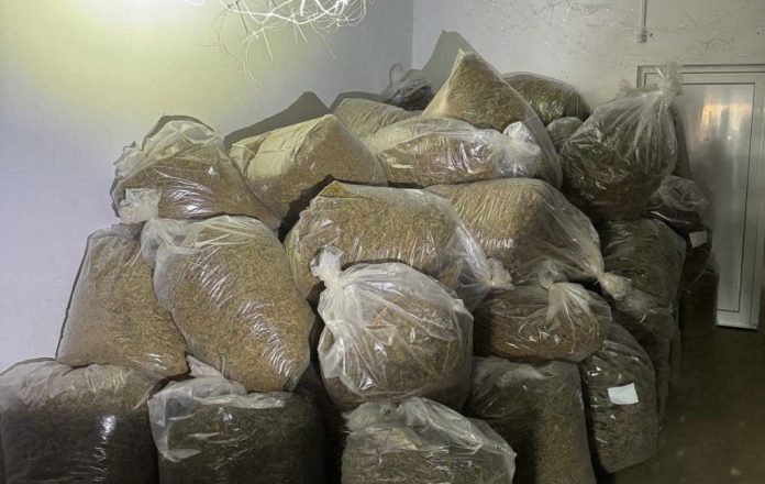 Hetimi intenziv ndaj rrjetit të dyshuar për skandalin me 5 ton marihuanë