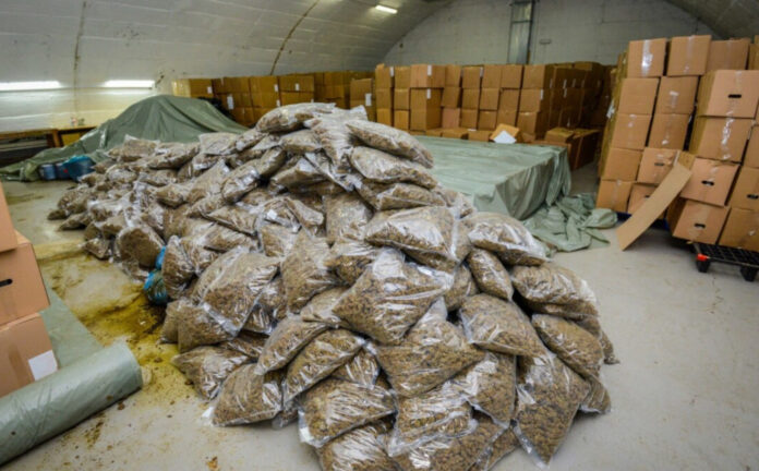 48 orë paraburgim për dy persona nga Maqedonia: Dyshohen për lidhje me 5 tonë marihuanë të sekuestruar në Serbi