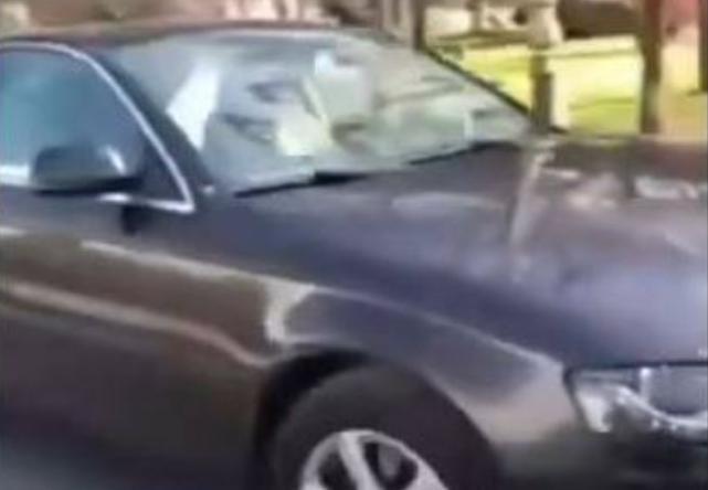 Voziste veturë nëpër shtegun për këmbësorë  gjobitet shoferja nga Shkupi