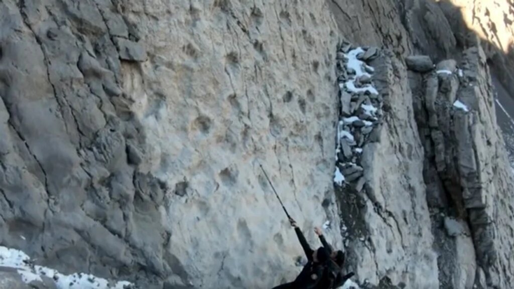 Gjurmët 210 milionë vjeçare të dinozaurëve tronditin shkencëtarët italianë