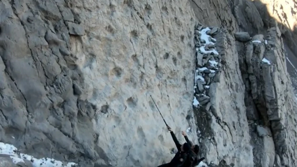 gjurmet-210-milione-vjecare-te-dinozaureve-tronditin-shkencetaret-italiane