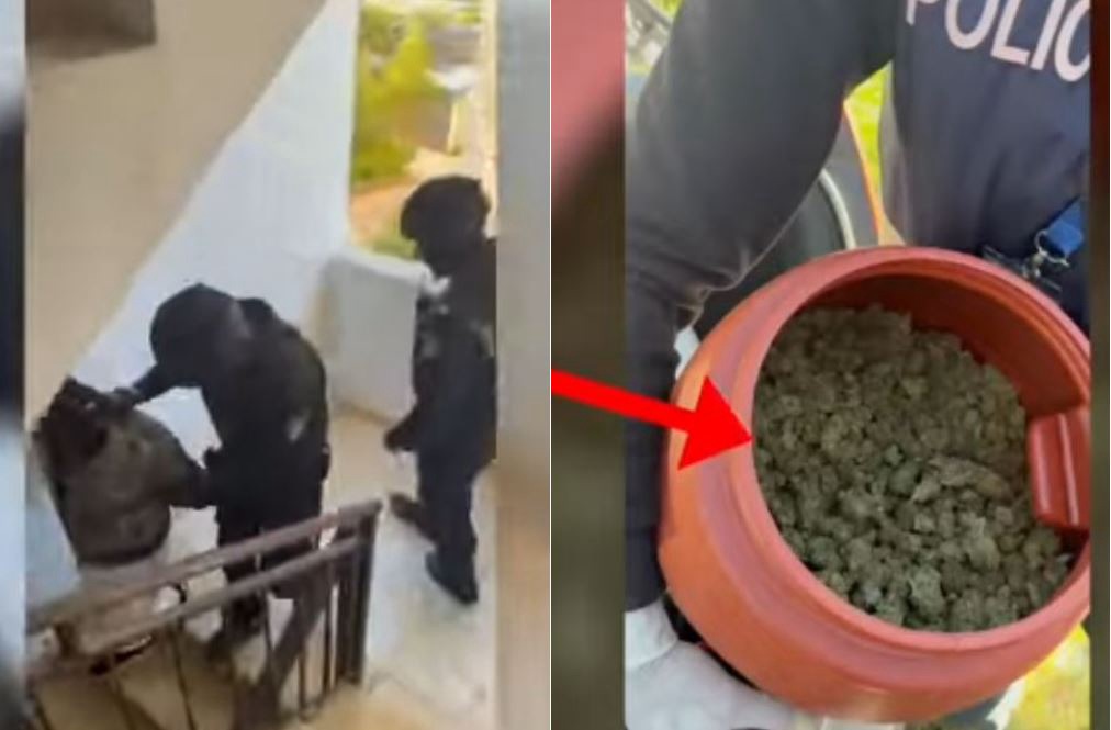 VENDIMI  Operacioni antidrogë në Elbasan  Gjykata jep masat për 9 nga të arrestuarit 