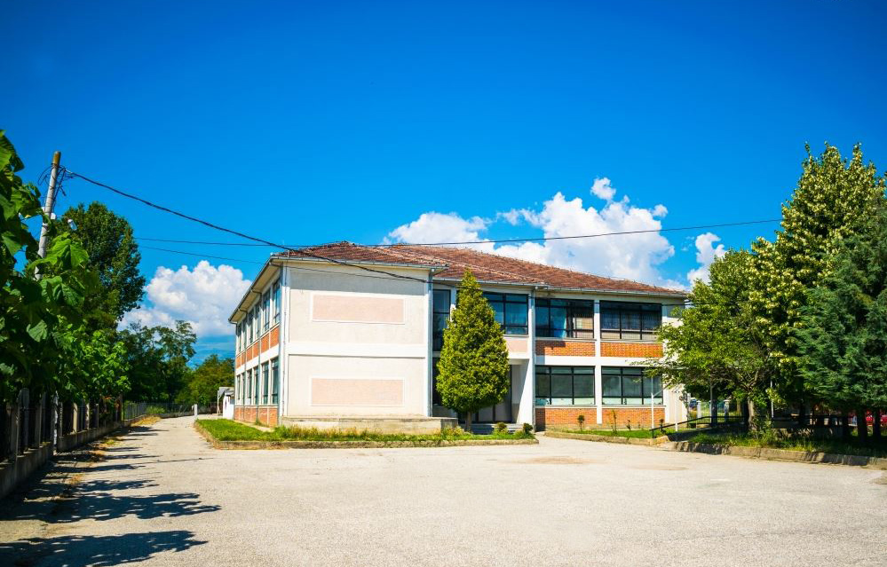 Incident në Pallaticë të Tetovës: 67-vjeçari sulmon me send të fortë një fëmijë 11-vjeçar në oborrin e shkollës