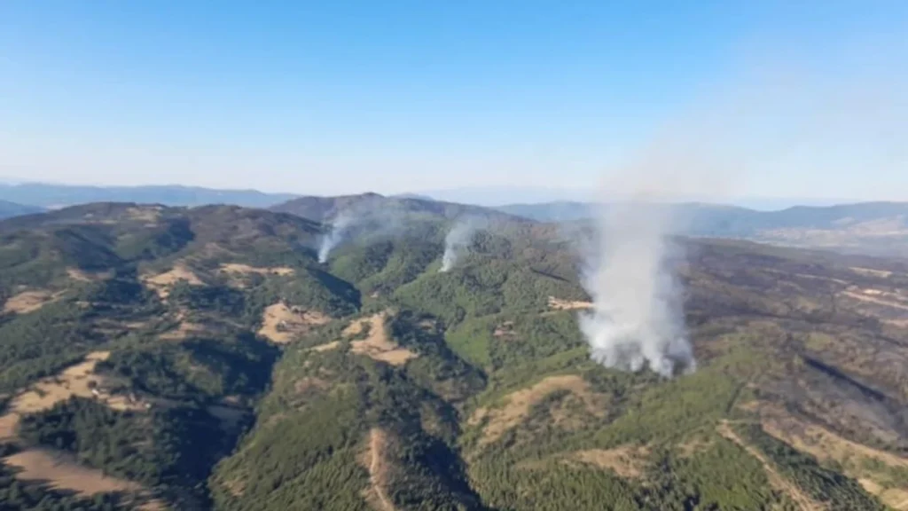 Zjarri pranë Velesit del sërish jashtë kontrollit, era përkeqëson situatën