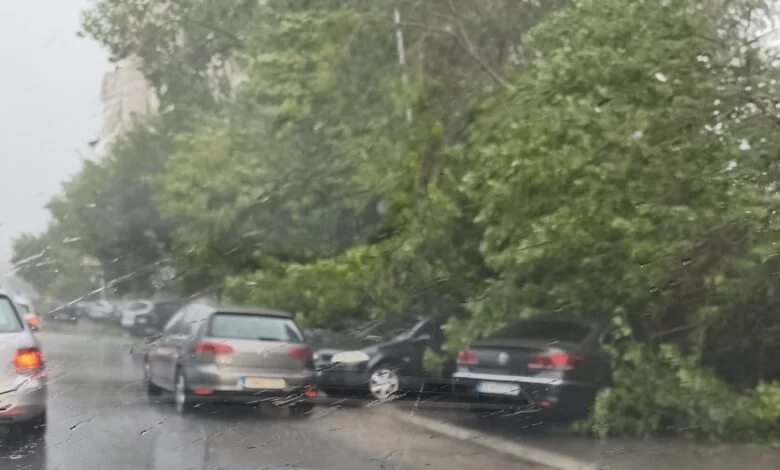 Stuhi e fuqishme godet Shkupin  drunj të rrëzuar dëmtojnë automjete në disa lagje