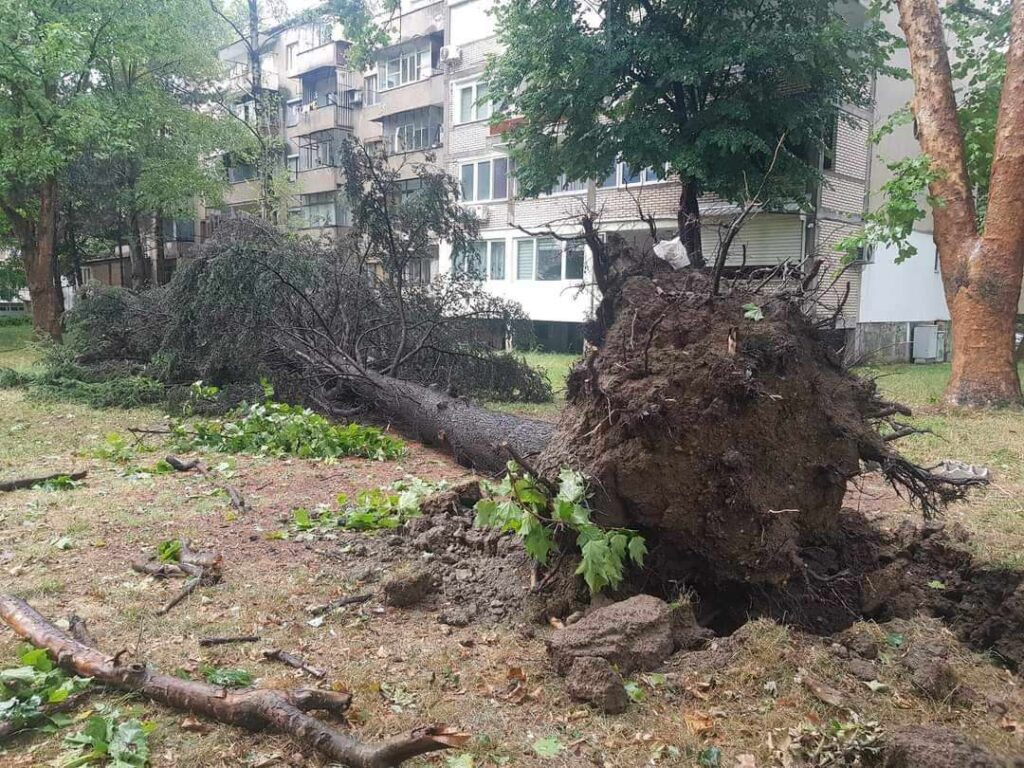 Një grua e moshuar është lënduar nga rënia e një peme në Karposh