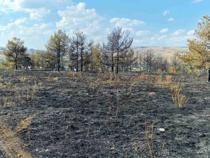 QMK: Gjithsej 14 zjarre në ambient të hapur, dy ende aktivë