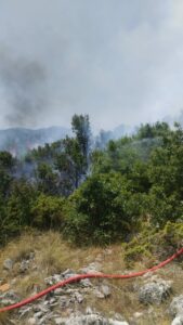 Zjarri përfshinë zonën e Qafë Thanës  flakët favorizohen nga temperaturat e larta dhe era