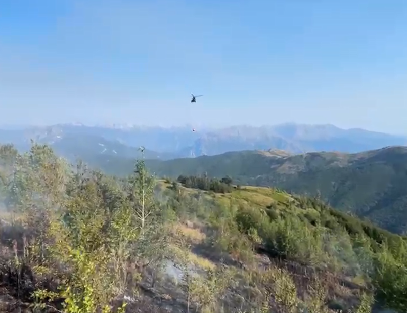 Pylli në Fushë Arrëz përfshihet nga flakët  kërkohet ndërhyrja me helikopter  Dyshimet e para për zjarrin