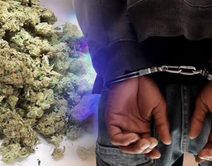 Arrestohet 24 vjeçari nga Treboshi, kapet me lëndë narkotike
