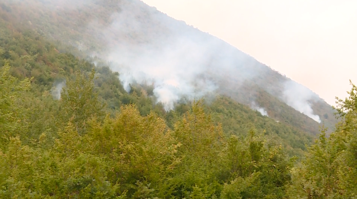 36 zjarre të regjistruara dje
